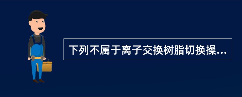 下列不属于离子交换树脂切换操作时应注意事项的是（）。