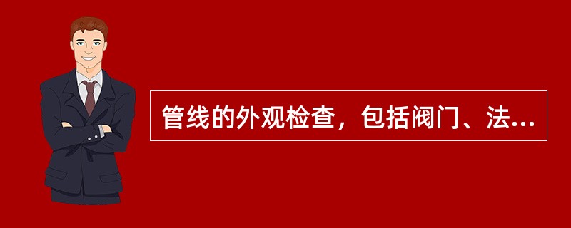 管线的外观检查，包括阀门、法兰、（）、排凝，伴热线，保温等。