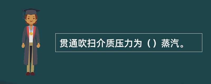 贯通吹扫介质压力为（）蒸汽。