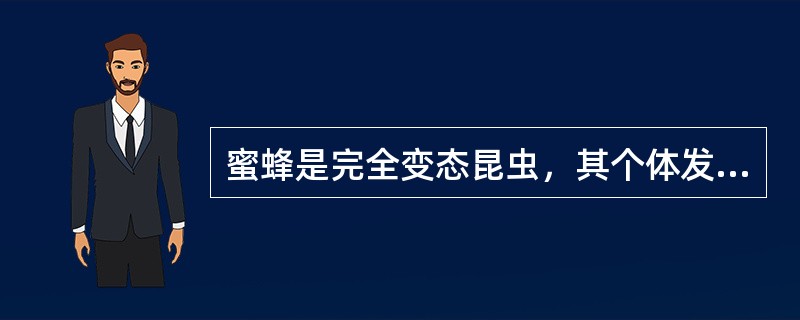 蜜蜂是完全变态昆虫，其个体发育经过（）4个阶段。