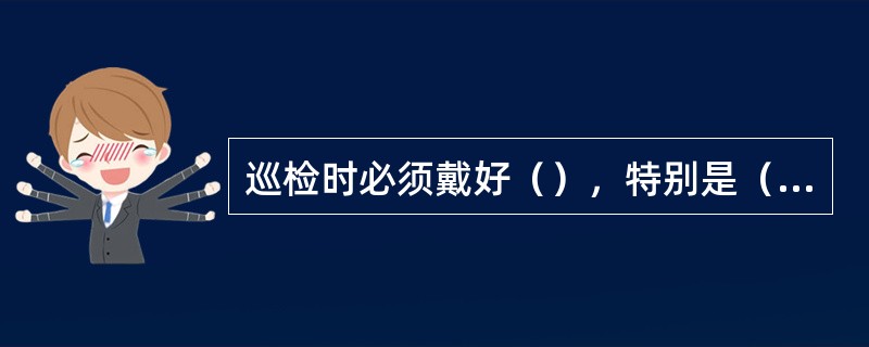 巡检时必须戴好（），特别是（）。