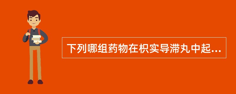 下列哪组药物在枳实导滞丸中起到清热燥湿止痢的作用（）