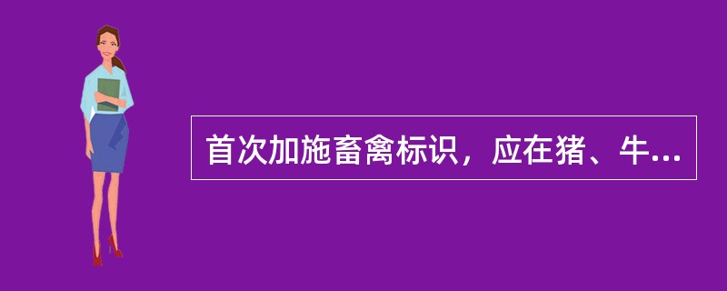 首次加施畜禽标识，应在猪、牛、羊（）耳中部。