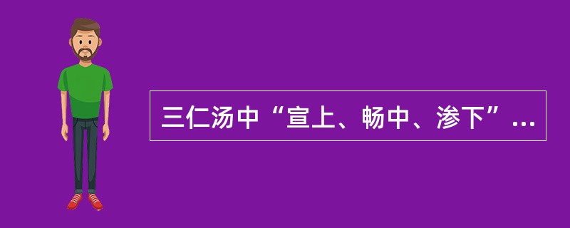 三仁汤中“宣上、畅中、渗下”的代表药物分别是（）