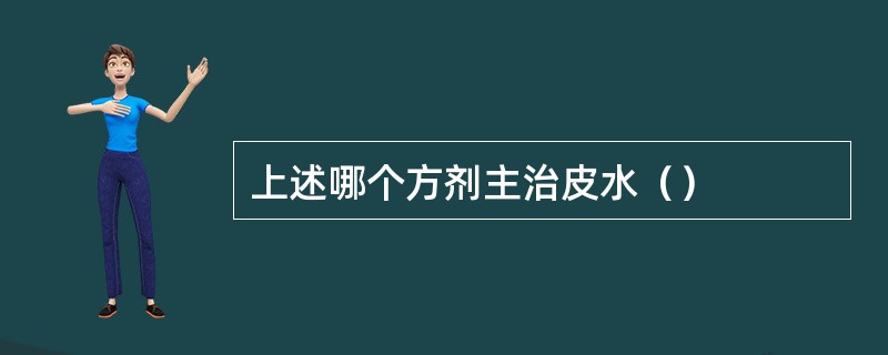 上述哪个方剂主治皮水（）