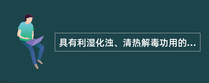 具有利湿化浊、清热解毒功用的方剂是（）