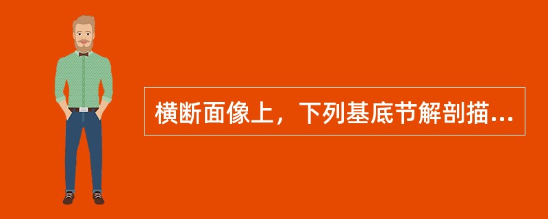横断面像上，下列基底节解剖描述中哪项不对()