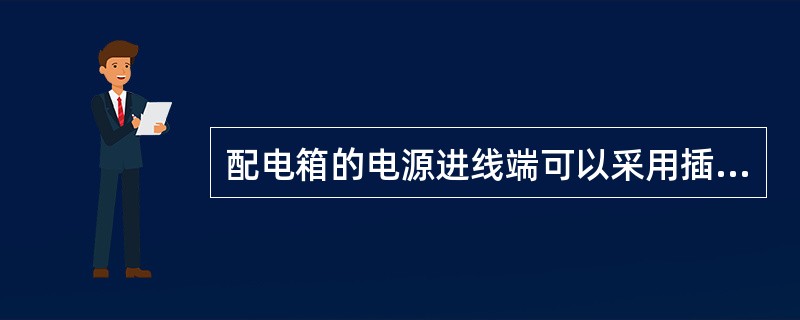 配电箱的电源进线端可以采用插头和插座做活动连接。