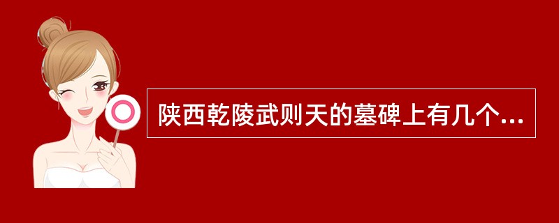 陕西乾陵武则天的墓碑上有几个字？