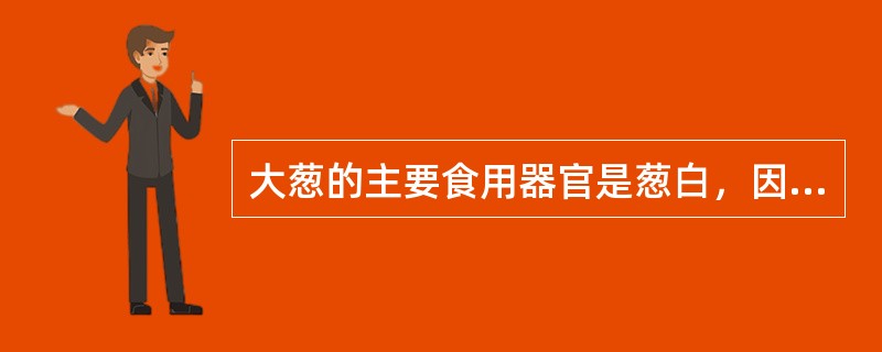 大葱的主要食用器官是葱白，因此每次培土要越深越好。