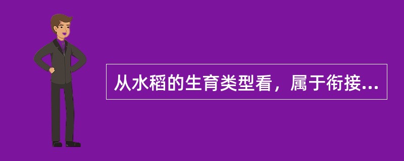 从水稻的生育类型看，属于衔接型的是（）。