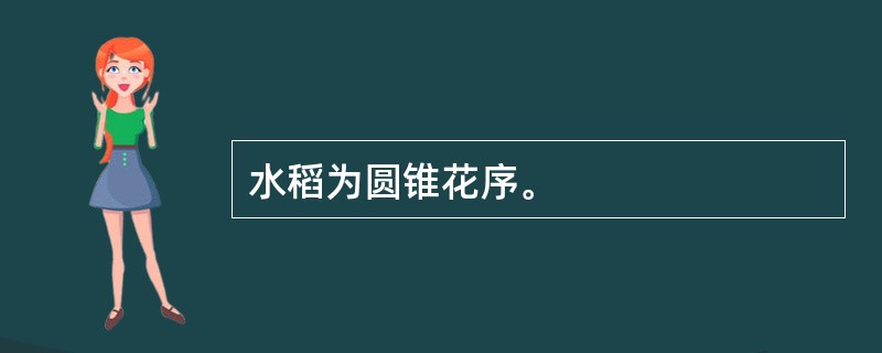 水稻为圆锥花序。