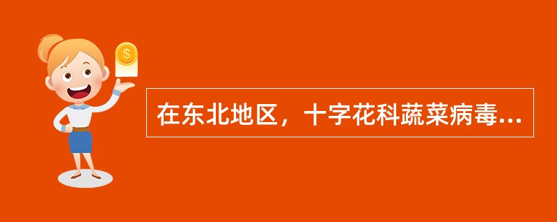 在东北地区，十字花科蔬菜病毒的病毒主要在蚜虫体内越冬。