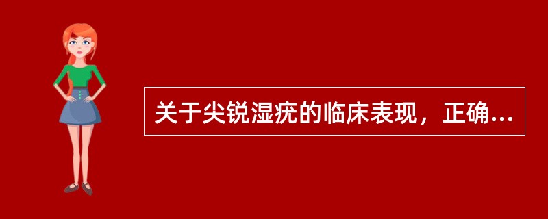 关于尖锐湿疣的临床表现，正确的是（）