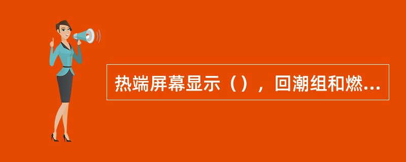 热端屏幕显示（），回潮组和燃烧炉组情况。