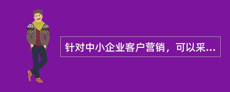 针对中小企业客户营销，可以采取（）的营销方式。