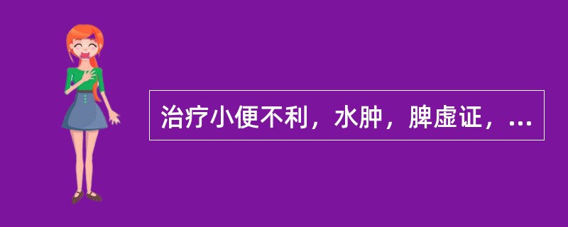 治疗小便不利，水肿，脾虚证，应选用的药物是（）。