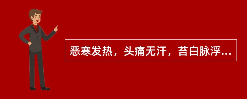 恶寒发热，头痛无汗，苔白脉浮紧属于（）。