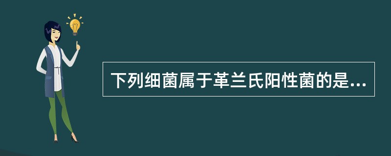 下列细菌属于革兰氏阳性菌的是（）。