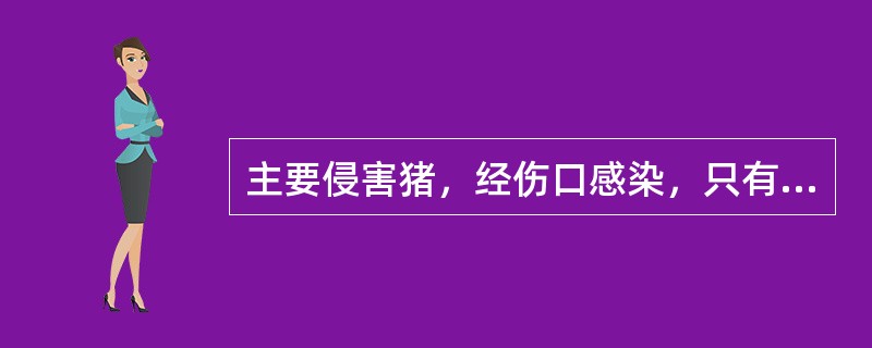 主要侵害猪，经伤口感染，只有一个血清型的病原微生物是（）