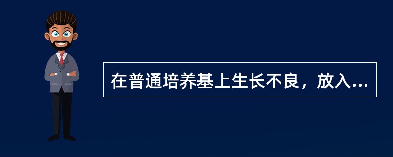 在普通培养基上生长不良，放入血清肉汤中培养生长的是（）