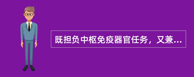 既担负中枢免疫器官任务，又兼有外周免疫器官功能的是（）