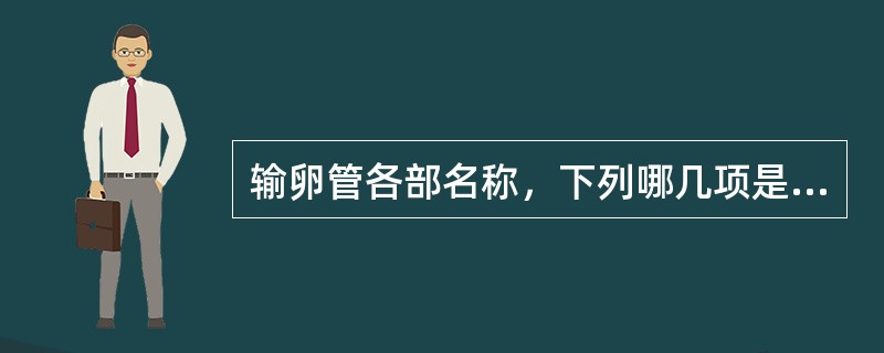 输卵管各部名称，下列哪几项是正确的（）。