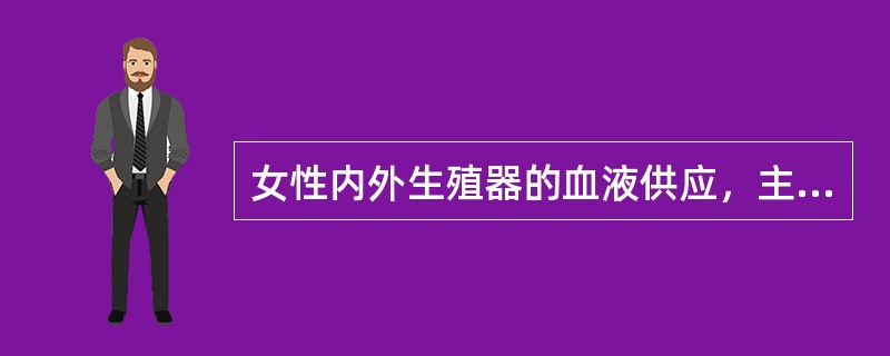 女性内外生殖器的血液供应，主要来自_________、子宫动脉、________