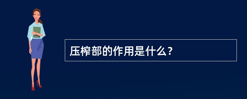 压榨部的作用是什么？