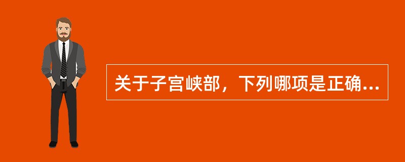 关于子宫峡部，下列哪项是正确的（）。