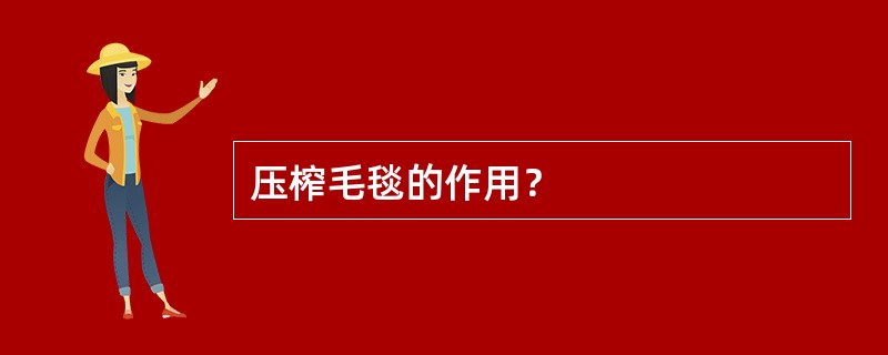 压榨毛毯的作用？