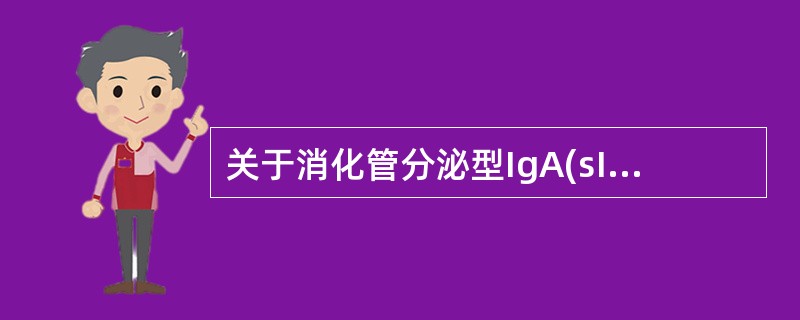 关于消化管分泌型IgA(sIgA)的产生和释放，错误的是（）