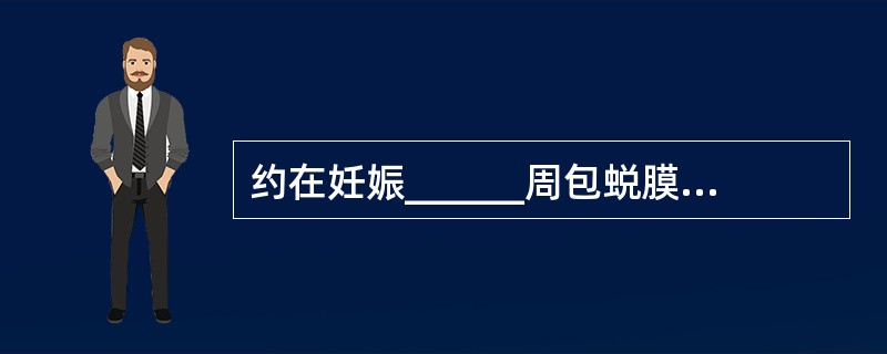 约在妊娠______周包蜕膜和真蜕膜相贴近，子宫腔消失。