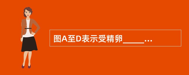 图A至D表示受精卵______过程，又称______，包括_____、_____