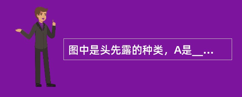 图中是头先露的种类，A是___，B是____，C是___，D是____。