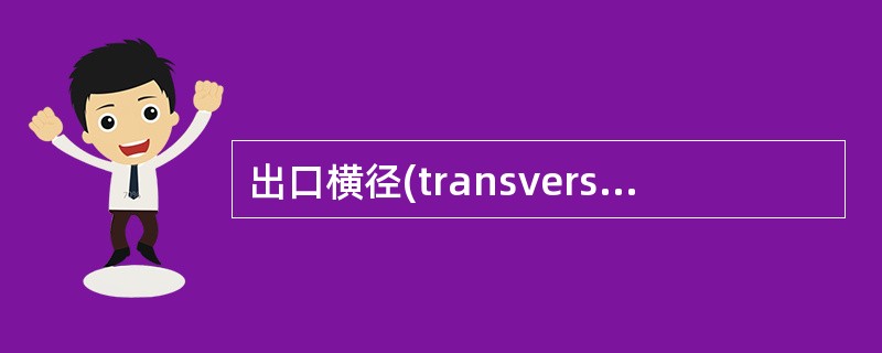 出口横径(transverse outlet，TO)