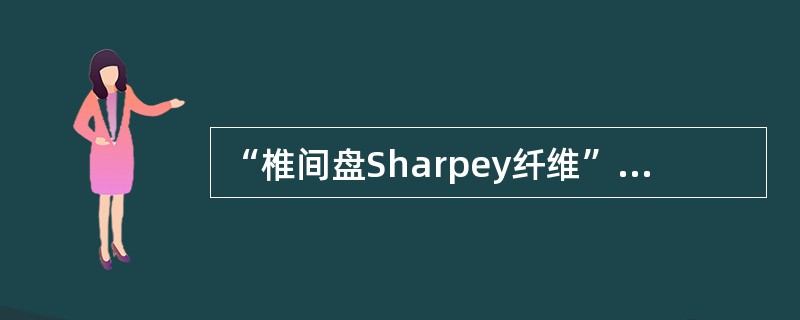 “椎间盘Sharpey纤维”，MRI检查()