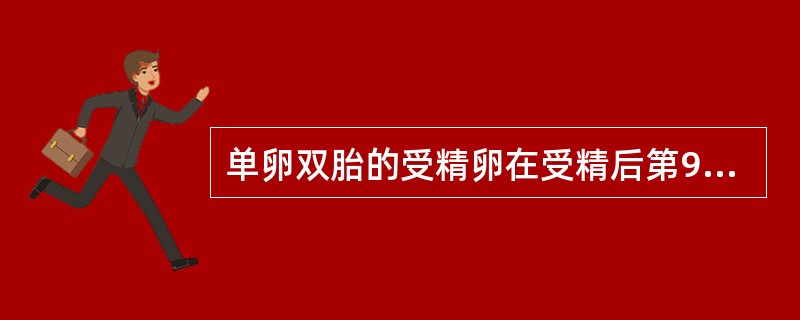 单卵双胎的受精卵在受精后第9～13日分裂时，则形成单羊膜囊。()