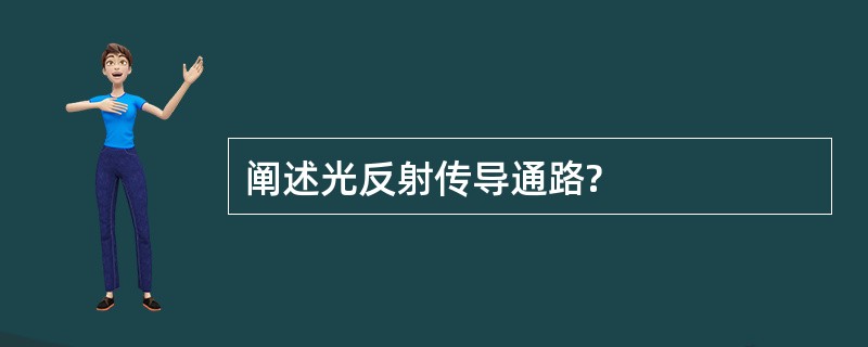 阐述光反射传导通路?