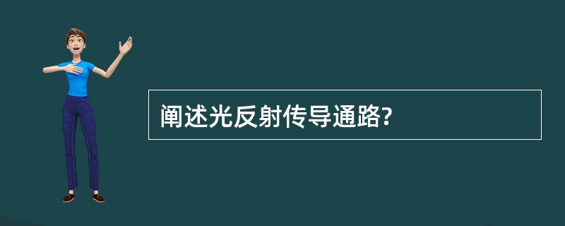 阐述光反射传导通路?