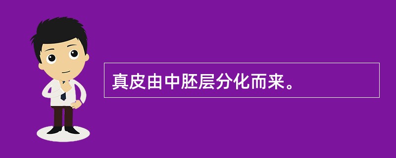 真皮由中胚层分化而来。