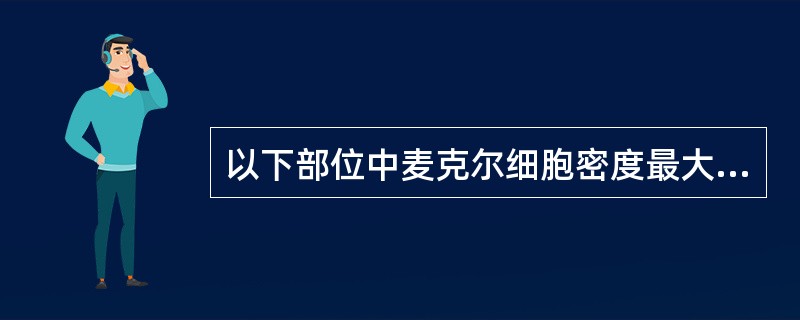 以下部位中麦克尔细胞密度最大的是()