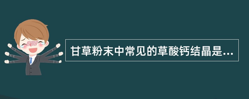 甘草粉末中常见的草酸钙结晶是（）。