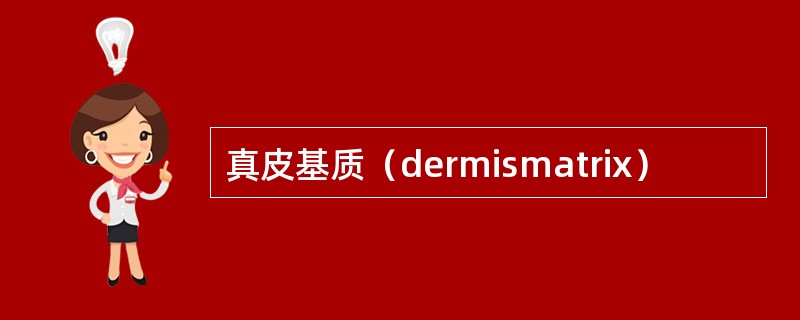 真皮基质（dermismatrix）
