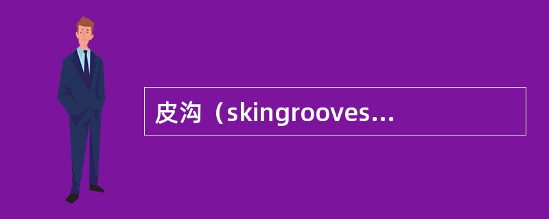 皮沟（skingrooves）和皮嵴（skinridges）