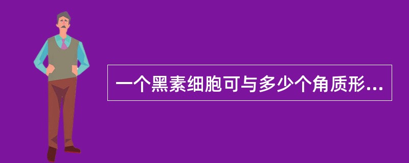 一个黑素细胞可与多少个角质形成细胞相连并提供黑素()