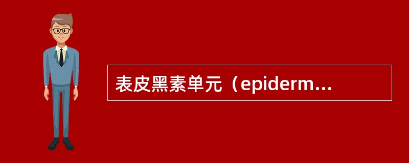 表皮黑素单元（epidermalmelaninunit）