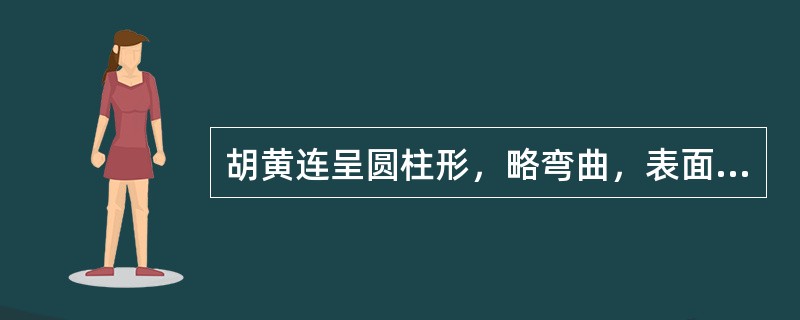 胡黄连呈圆柱形，略弯曲，表面灰棕色至暗棕色，节间短而形成密生的环纹。体轻，易折断