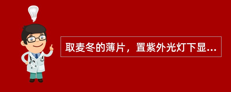 取麦冬的薄片，置紫外光灯下显（）色荧光。