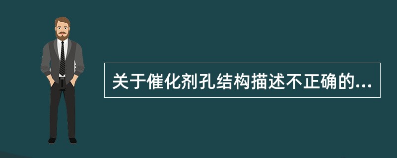 关于催化剂孔结构描述不正确的是（）。